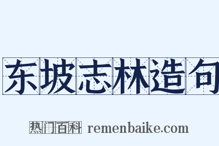 东坡志林造句是什么意思的图片